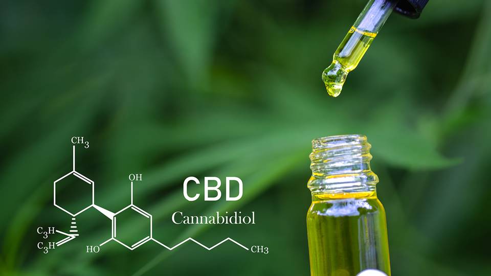 What Is CBD And Cannabidiol? - USA Medical