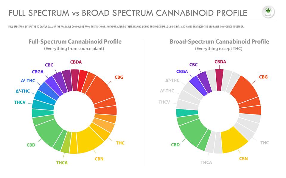 széles spektrumú és full spektrumú cbd olaj