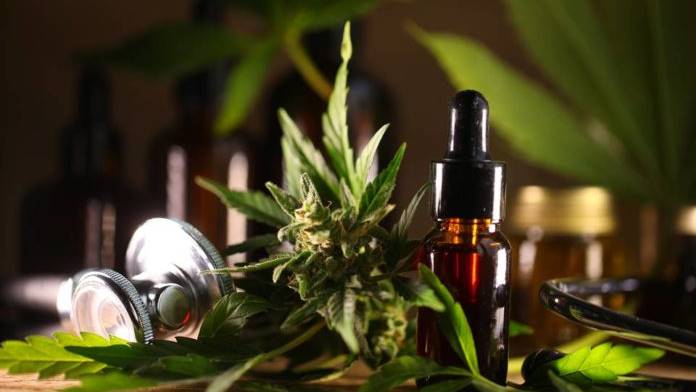 CBD And Endocannabinoid System Image