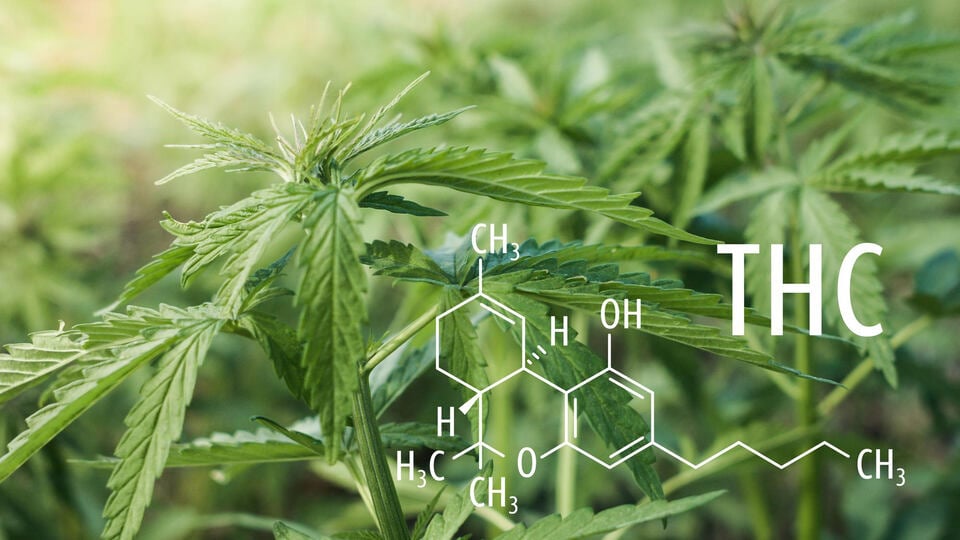The molecular structure of tetrahydrocannabinol