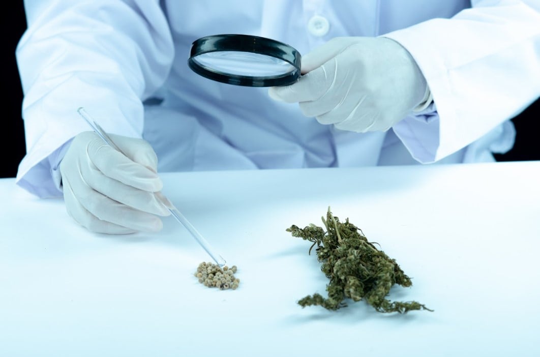 cbd oil without thc