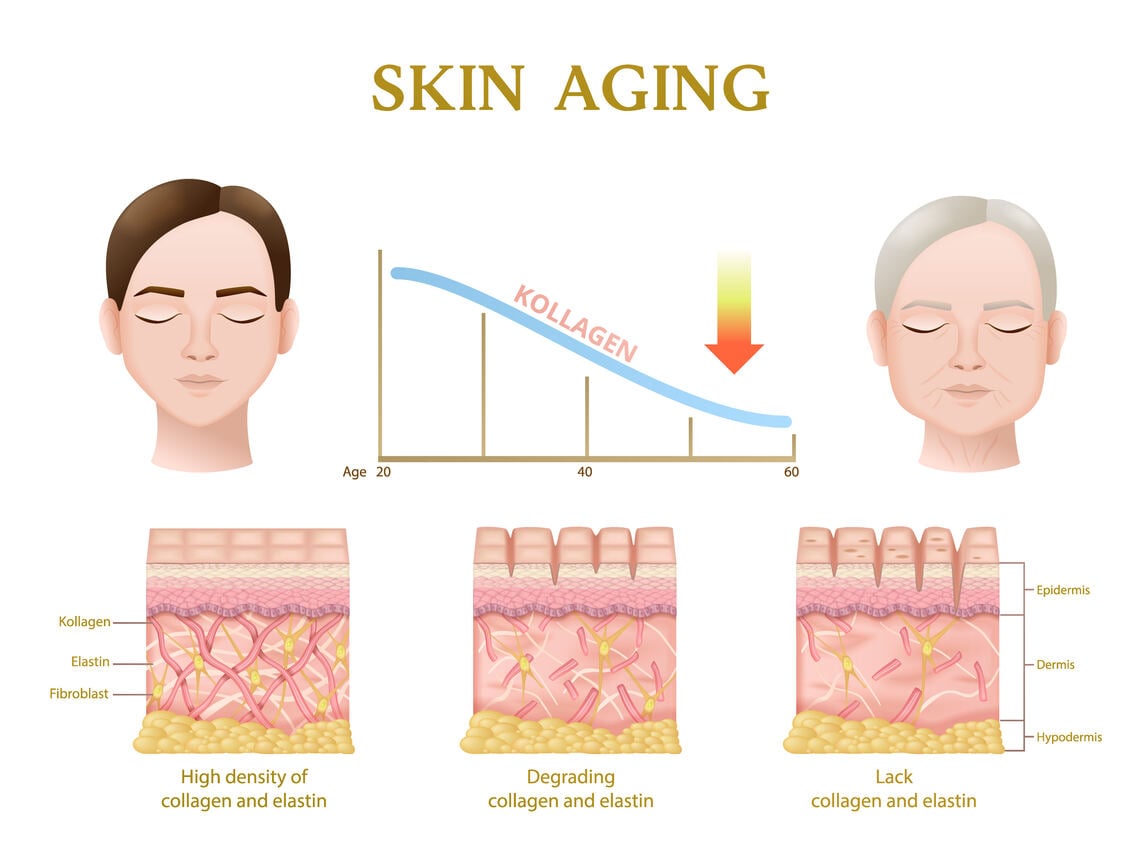 Daily collagen requirement infographic