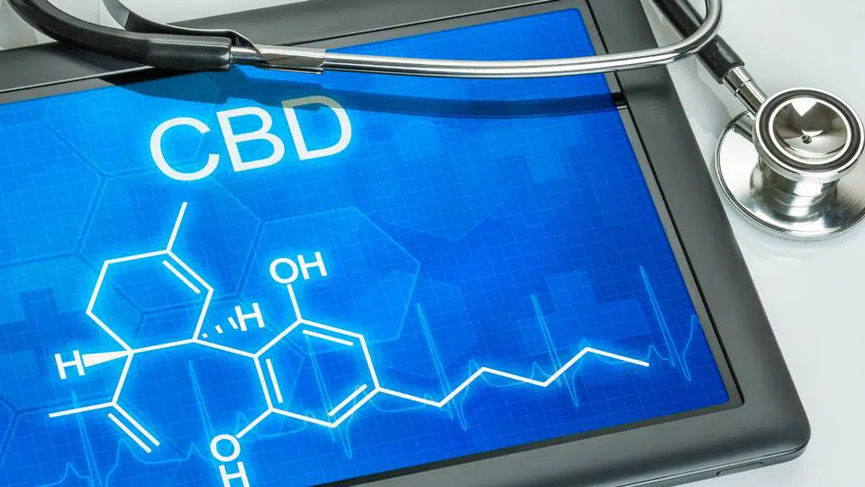 CBD v konope
