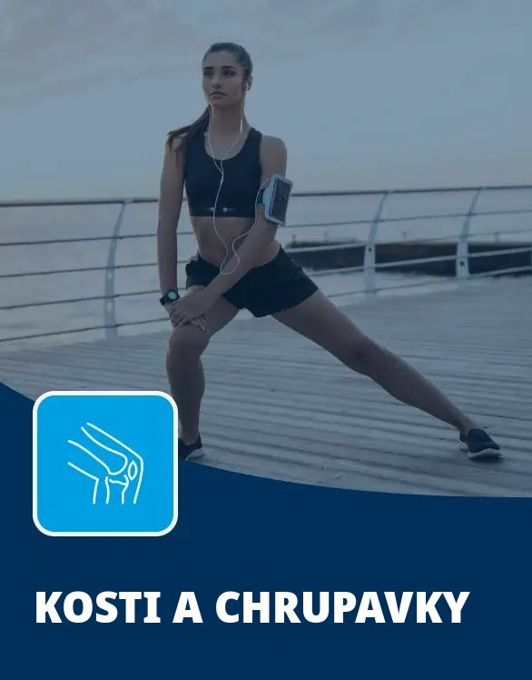 Kosti a chrupavky